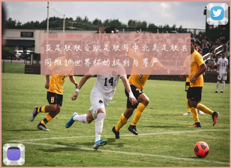 亚足联联合欧足联与中北美足联共同维护世界杯的权利与尊严