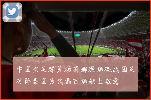 中国女足球员杨莉娜现场观战国足对阵泰国为武磊百场献上敬意