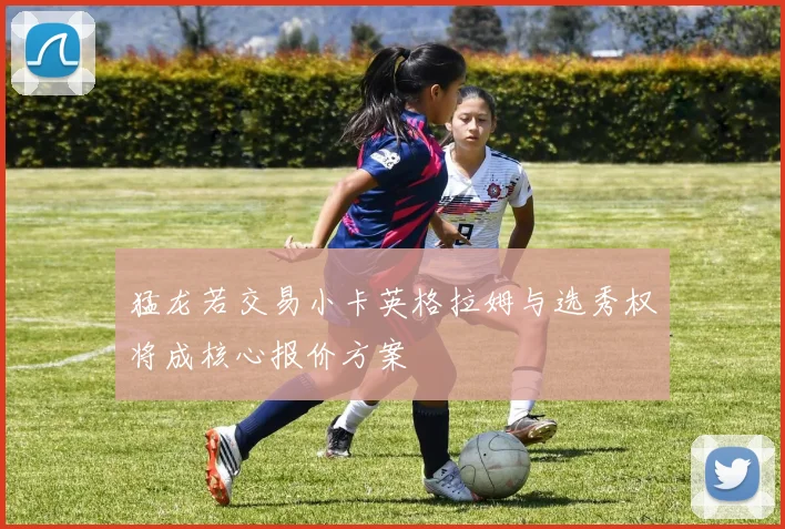 猛龙若交易小卡英格拉姆与选秀权将成核心报价方案